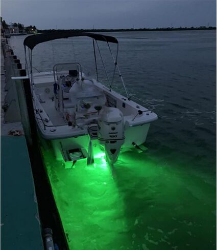 JXOFROAD RGB متعدد الألوان قارب قابس التصريف الضوء، 12 فولت مقاوم للماء التوصيل إغراء الفولاذ المقاوم للصدأ Transom أضواء بحرية للسفن للصيد الليلي in Kuwait