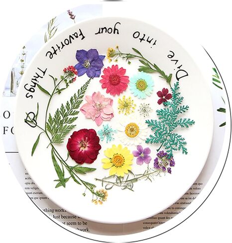 40 قطعة من الزهور المجففة المضغوطة من الراتنج DIY الفنية والحرف اليدوية والأعشاب الطبيعية وأوراق النبات الجافة ومجوهرات الإيبوكسي الزهرية الملونة الحقيقية وديكور الكعك وحالات الهاتف والشموع المصنوعة يدويًا والصابون الصيفي in Kuwait
