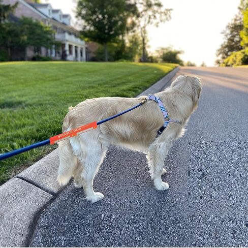 مقود خدمة الكلاب كم خدمة الكلب أحتاج إلى مساحة، لف مقود الكلب أثناء التدريب يمنحنا مساحة، لف حبل كلب واضح للغاية للمشي للكلاب الأليفة، ملحقات سفر مقود الكلب in Kuwait