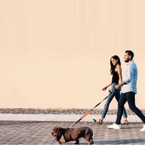 مقود خدمة الكلاب كم خدمة الكلب أحتاج إلى مساحة، لف مقود الكلب أثناء التدريب يمنحنا مساحة، لف حبل كلب واضح للغاية للمشي للكلاب الأليفة، ملحقات سفر مقود الكلب in Kuwait