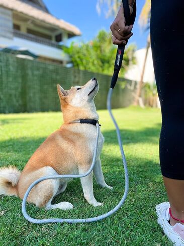 Tuff Pupper Heavy Duty Slip Lead Dog Leash | Six Foot Reflective Training Leash | Strong Half Inch Thick Rope Slip Lead | Reflective Training Leashes | Corrective Training Lead for Medium & Large Dogs in Saudi Arabia