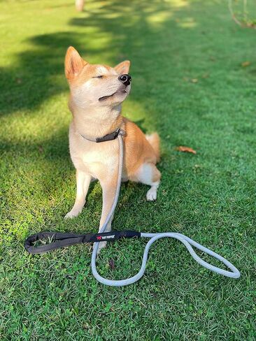 Tuff Pupper Heavy Duty Slip Lead Dog Leash | Six Foot Reflective Training Leash | Strong Half Inch Thick Rope Slip Lead | Reflective Training Leashes | Corrective Training Lead for Medium & Large Dogs in Saudi Arabia