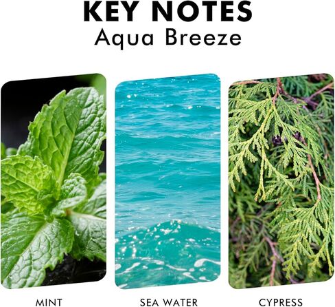 موزع روائح القصب المعطرة بالحمضيات من Xcleen، موزع روائح زيت البرتقال والليمون والليمون، حمضيات حقيقية! عطر منزلي للعطلات لديكور مكتب الحمام in Kuwait