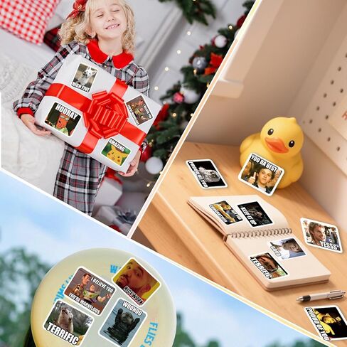300PCS Meme Stickers, Meme Stickers for Teacher, Funny Meme Stickers for Laptop, Phone, All Ages Students Grading in Kuwait