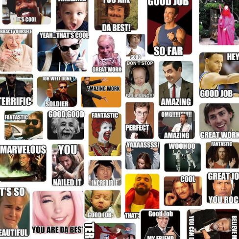 300PCS Meme Stickers, Meme Stickers for Teacher, Funny Meme Stickers for Laptop, Phone, All Ages Students Grading in Kuwait