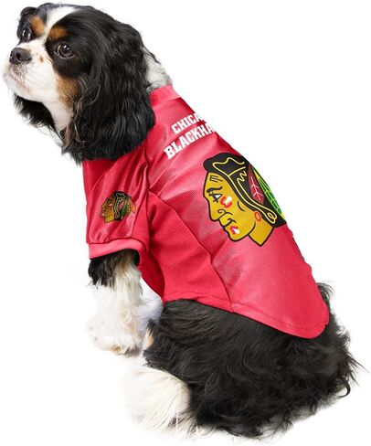 Littlearth NHL Carolina Hurricanes Stretch Pet Jersey, Team Color, Small in Saudi Arabia