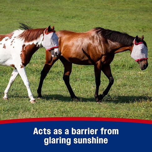 SuperMask II Fly Mask for Horses in Kuwait