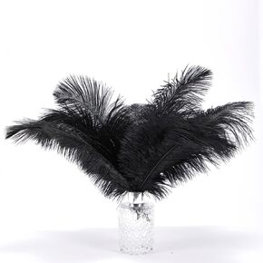Ostrich Feathers 14-16 inch(35-40cm) Natural Bulk 10pcs White Feathers for Crafting Vase Wedding Party Home Christmas Day Decoration (White, 14-16 inch) in Kuwait
