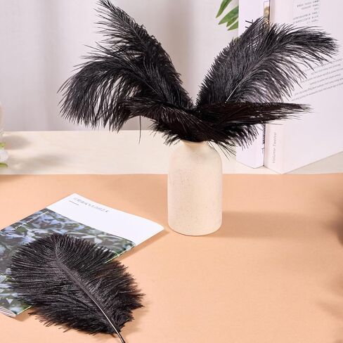Ostrich Feathers 14-16 inch(35-40cm) Natural Bulk 10pcs White Feathers for Crafting Vase Wedding Party Home Christmas Day Decoration (White, 14-16 inch) in Kuwait