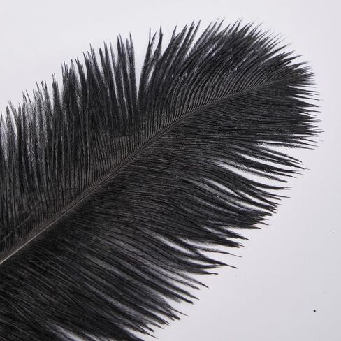 Ostrich Feathers 14-16 inch(35-40cm) Natural Bulk 10pcs White Feathers for Crafting Vase Wedding Party Home Christmas Day Decoration (White, 14-16 inch) in Kuwait