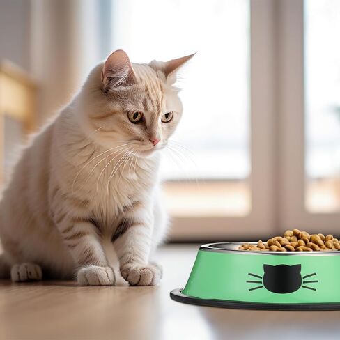 6 Pcs Cat Bowls for Food and Water Cat Dishes Stainless Steel PET Food Bowls 7 oz Anti Slip Metal PET Bowl with Removable Rubber Base Thicken Cat Feeding Bowl for Indoor Pets Kitten Small Dogs in Saudi Arabia