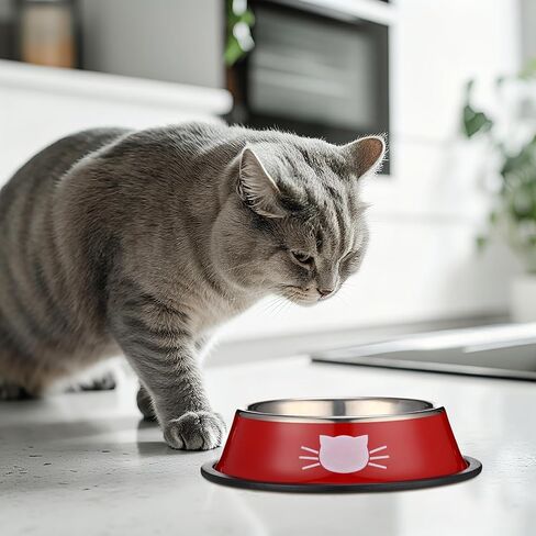 6 Pcs Cat Bowls for Food and Water Cat Dishes Stainless Steel PET Food Bowls 7 oz Anti Slip Metal PET Bowl with Removable Rubber Base Thicken Cat Feeding Bowl for Indoor Pets Kitten Small Dogs in Saudi Arabia
