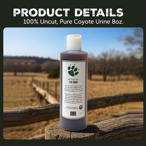 Fox Urine & Fox Plus - بول عالي الجودة 16oz أو مزيج من الغدد والبول والزيت 8oz - قاعدة رائحة Canid ممتازة للاستخدام في الهواء الطلق وإدارة الحياة البرية in Kuwait