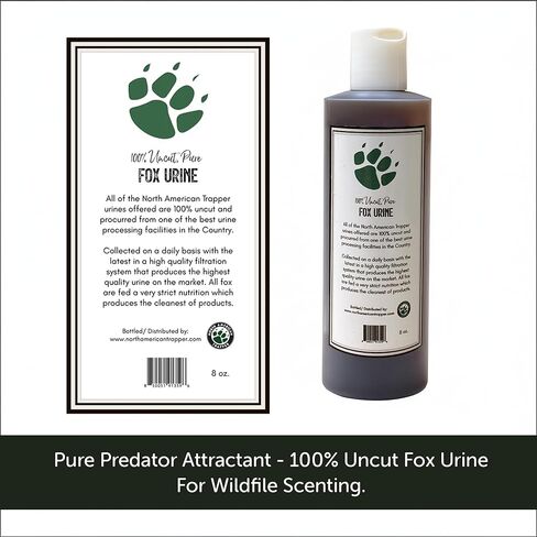 Fox Urine & Fox Plus - بول عالي الجودة 16oz أو مزيج من الغدد والبول والزيت 8oz - قاعدة رائحة Canid ممتازة للاستخدام في الهواء الطلق وإدارة الحياة البرية in Kuwait