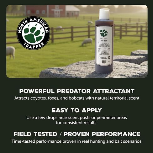 Fox Urine & Fox Plus - بول عالي الجودة 16oz أو مزيج من الغدد والبول والزيت 8oz - قاعدة رائحة Canid ممتازة للاستخدام في الهواء الطلق وإدارة الحياة البرية in Kuwait