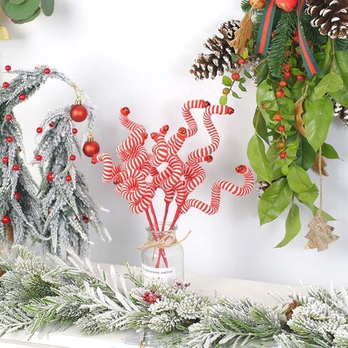 Red and White Christmas cuttings in Saudi Arabia