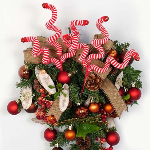 Red and White Christmas cuttings in Saudi Arabia