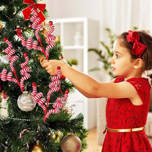 Red and White Christmas cuttings in Saudi Arabia