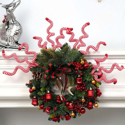 Red and White Christmas cuttings in Saudi Arabia
