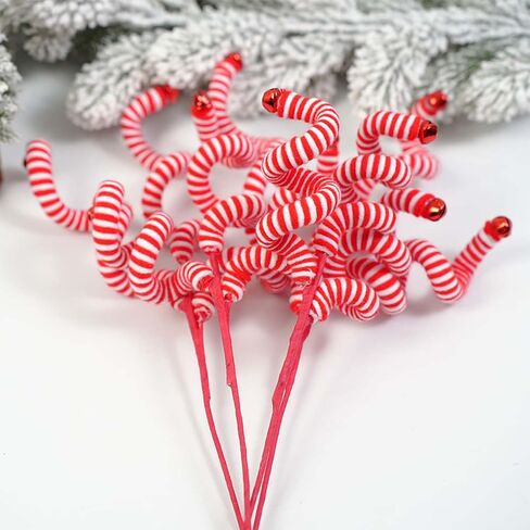 Red and White Christmas cuttings in Saudi Arabia