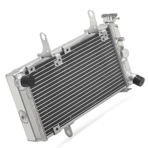 BIKINGBOY DL 1000 V-Strom 02 03 04 05 06 07 08 09 10 11 12 Engine Radiator Cooling Water Cooler Aluminium Alloy Core Polished in Saudi Arabia