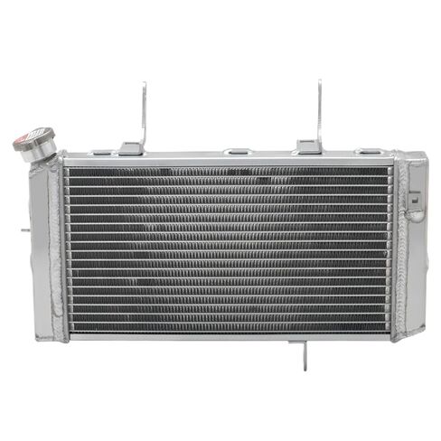 BIKINGBOY DL 1000 V-Strom 02 03 04 05 06 07 08 09 10 11 12 Engine Radiator Cooling Water Cooler Aluminium Alloy Core Polished in Saudi Arabia