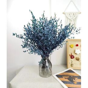 20+ Small Branches Real Dried Blue Eucalyptus Stems - 4.5 OZ 16'' Preserved Live Eucalyptus Leaves for Shower Hanging, 100% Fresh Italian Ruscus Bundle, Flower Bouquet Arrangement, Home Decor