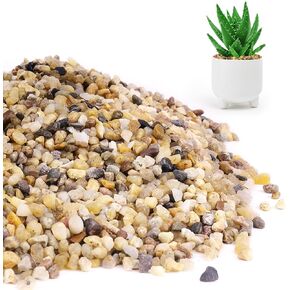 WHANLEY L&Q 2.8 رطل رمل سيليكا طبيعي (3 ~ 5 مم) رمل خشن، صخور عصارية، صخور نباتية، حصى حوض السمك، الحصى، حصى البازلاء، حبيبات البستنة، أحجار زخرفية، رمل لحفر النار، المواقد، الصخور in Kuwait