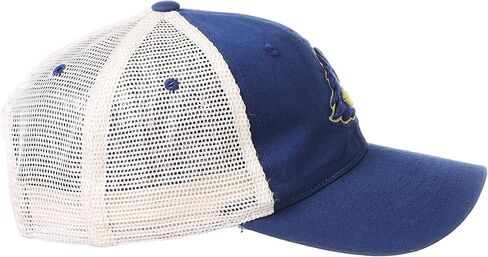 Zephyr Men's Adjustable University Hat Team Color, One Size in Saudi Arabia