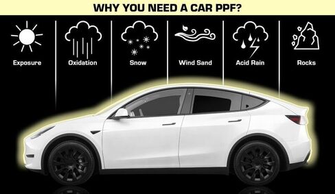 Factory Craft Tesla Model 3 طبقة حماية الطلاء الواقية حمالة صدر شفافة PPF مصد + مجموعة أضواء مقطوعة رقميًا متوافقة مع Tesla Model 3 2017-2023 in Kuwait