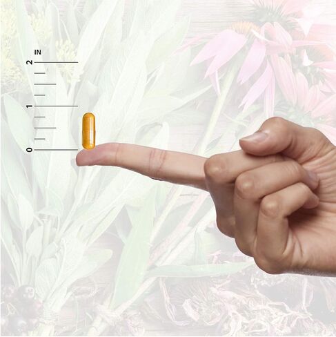 كبسولات نباتية مكملة لمسحوق جذور الكافا من Nature's Answer، عدد 90 | مساعدات التهدئة الطبيعية | دعم المزاج | يعزز تخفيف التوتر in Saudi Arabia