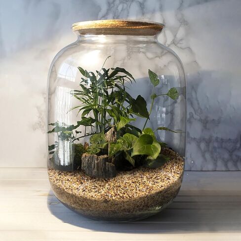 WHANLEY L&Q 2.8 رطل رمل سيليكا طبيعي (3 ~ 5 مم) رمل خشن، صخور عصارية، صخور نباتية، حصى حوض السمك، الحصى، حصى البازلاء، حبيبات البستنة، أحجار زخرفية، رمل لحفر النار، المواقد، الصخور in Kuwait