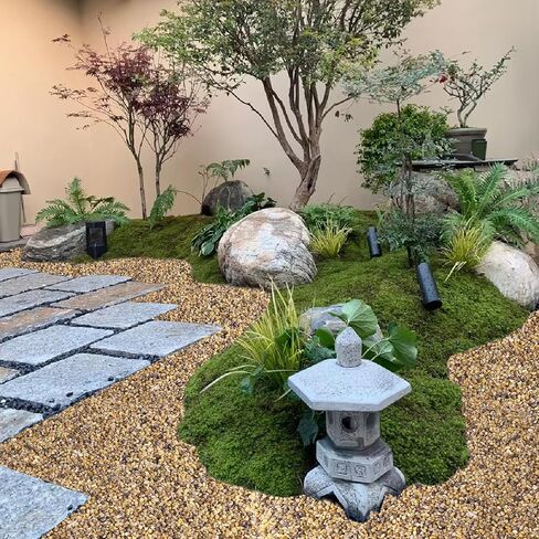 WHANLEY L&Q 2.8 رطل رمل سيليكا طبيعي (3 ~ 5 مم) رمل خشن، صخور عصارية، صخور نباتية، حصى حوض السمك، الحصى، حصى البازلاء، حبيبات البستنة، أحجار زخرفية، رمل لحفر النار، المواقد، الصخور in Kuwait