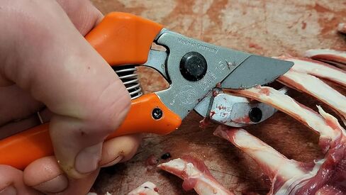 مقص صيد جاغدشير الاصلي من لووي، معدن، مقاس M in Kuwait