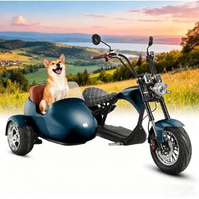 eAhora 2000W/4000W M1P Pro Electric Motorcycle with Sidecar for Adults 50MPH 60V 30/42Ah Battery 40/50Miles Long Range Electric Sidecar for 2 Persons Street Legal Ebike in Saudi Arabia