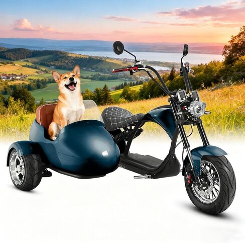 eAhora 2000W/4000W M1P Pro Electric Motorcycle with Sidecar for Adults 50MPH 60V 30/42Ah Battery 40/50Miles Long Range Electric Sidecar for 2 Persons Street Legal Ebike in Saudi Arabia