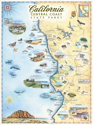 Central California Map Poster – 18x24 Vintage-Style Lithographic Print with Soy-Based Inks – Unique Gift for Travelers, Teachers, History Buffs – Made in USA Wall Art in Saudi Arabia