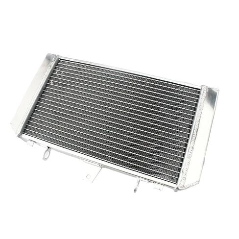 BIKINGBOY Engine Cooling Radiator Cooler Ninja H2 H2R ZX1000 15 16 17 18 19 20 21 ZRX 1100 96-00 97 1200 01 02 03 04 05 06(ZRX 1100 96-00) in Saudi Arabia