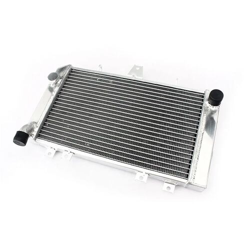 BIKINGBOY Engine Cooling Radiator Cooler Ninja H2 H2R ZX1000 15 16 17 18 19 20 21 ZRX 1100 96-00 97 1200 01 02 03 04 05 06(ZRX 1100 96-00) in Saudi Arabia