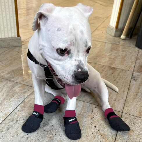 جوارب للكلاب من القطن المقاوم للماء ذات نسيج سميك ومغمس مزدوج | أحذية PawFlex المريحة Pawz الناعمة للحيوانات الأليفة للاستخدام في الأماكن المغلقة/المفتوحة | قبضة سيليكون غير قابلة للانزلاق عند المعصم الداخلي لعدم الالتواء أو الانزلاق| حزام قابل للتعديل in Kuwait