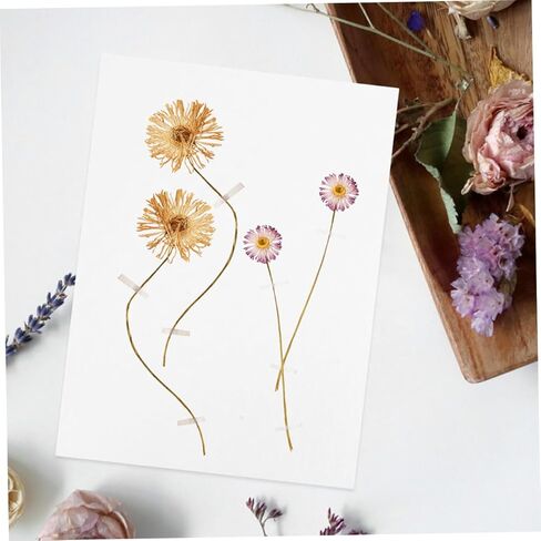 jojofuny Flower Press Kit with Absorbent Pressing Plates and Embossing Paper DIY Floral and Leaf Preservation for Crafting Wedding Decor Scrapbooks and Home Accessories in Saudi Arabia