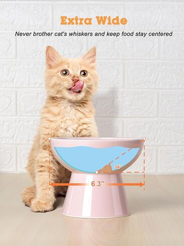 LoeJan Elevated Cat Food and Water Bowls Set, Extra Wide and Raised Ceramic Bowls, Anti-Vomit Whisker-Free Pressure Cat Feeder for Kittens to Adult Cats and Small Dogs (White, Water Bowl) in Saudi Arabia