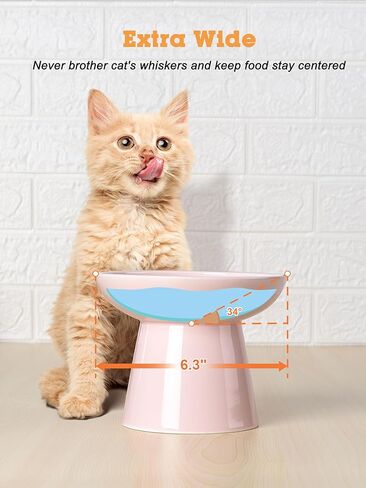 LoeJan Elevated Cat Food and Water Bowls Set, Extra Wide and Raised Ceramic Bowls, Anti-Vomit Whisker-Free Pressure Cat Feeder for Kittens to Adult Cats and Small Dogs (White, Water Bowl) in Saudi Arabia