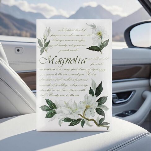 Feel Fragrance Scented Sachet for Drawer and Closet Sachets, Lot of 12 (Cinnamon) in Kuwait