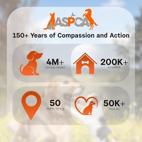 سرير كهف للقطط من ASPCA، شبشب مريح للحيوانات الأليفة في الأماكن المغلقة، للبالغين والقطط، رمادي متين، 23 بوصة × 17 بوصة × 6 بوصة in Kuwait