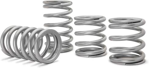 SuperATV Tender Springs for 2020+ Polaris RZR PRO XP | USA Made | 725 lb. Front and 350 lb. Rear Spring Rate | Heavy Duty in Saudi Arabia