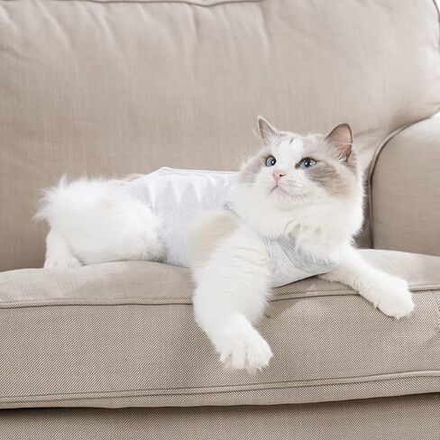 Cat Recovery Suit for Male and Female Surgical Post Surgery Soft Cone Onesie Shirt Clothes Neuter Licking Protective Diapers Outfit Cover Kitten Spay Collar(M, Purple) in Saudi Arabia