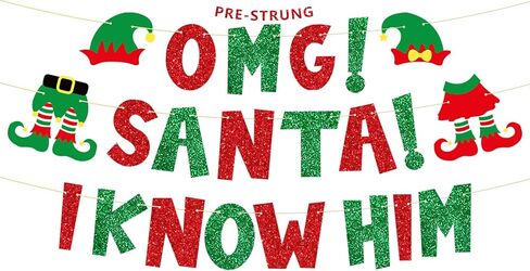 Pre-Strung There's Some Ho Ho Hos In This House Banner, NO DIY Funny Christmas Decorations, Glitter Xmas Holiday Party Banner Sign in Kuwait