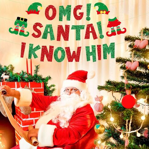 Pre-Strung There's Some Ho Ho Hos In This House Banner, NO DIY Funny Christmas Decorations, Glitter Xmas Holiday Party Banner Sign in Kuwait