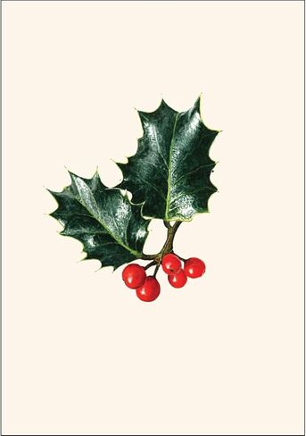 Earth Sky + Water - English Holly Notecard Set - 8 Blank Cards with Envelopes in Saudi Arabia
